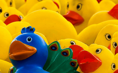 The Job Market Is Tough — But Here’s How You Can Stand Out