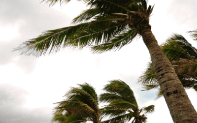Alpha Relief launched for Hurricane Michael recovery